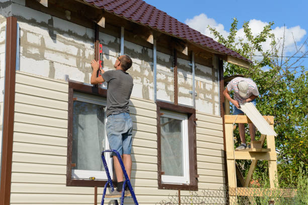 Best Aluminum Siding Installation  in Lebanon Junction, KY