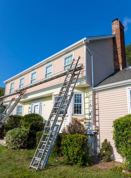 Best Fiber Cement Siding Installation  in Lebanon Junction, KY